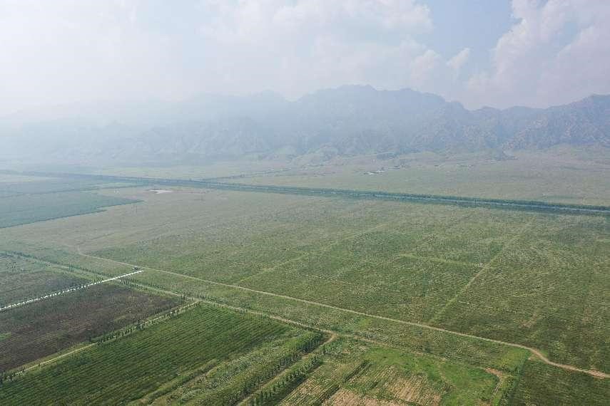 塞外明珠恢復昔日光彩，全國最大山水林田湖草沙修復工程成效顯著