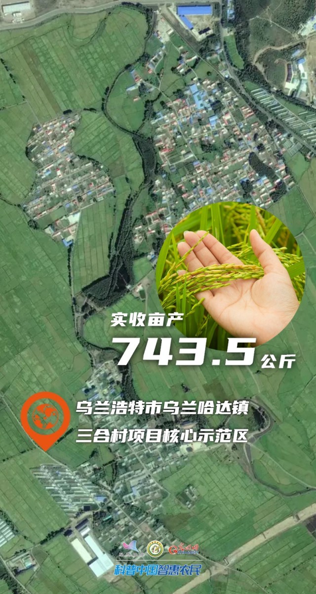 數説豐收| 743.5公斤！內蒙古水稻單産紀錄刷新