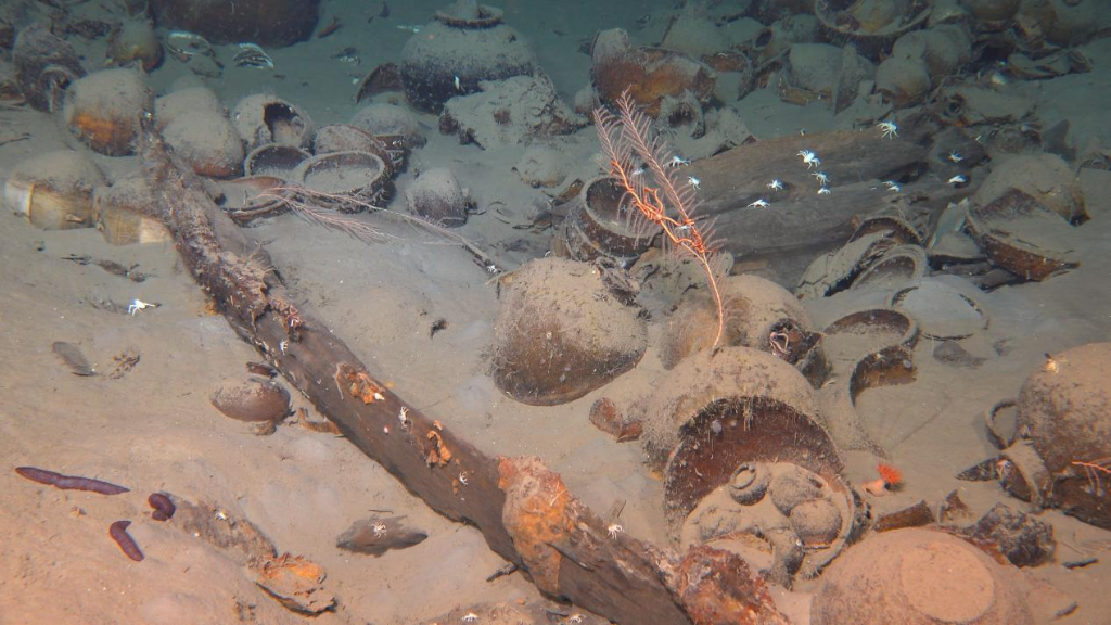 南海西北陸坡沉船遺址第一階段調查：最新海底畫面來了！