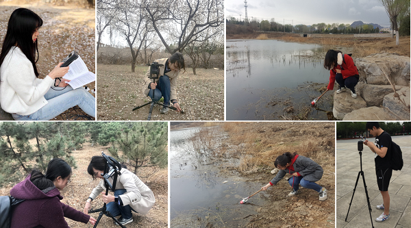 國際森林日丨城市森林公園建設：不負生態修復 不負城市春光