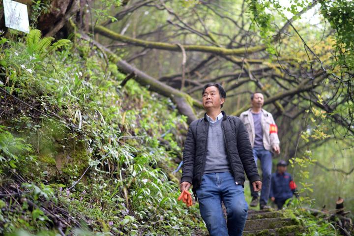 中國加快建設自然保護地體系守護珍稀動植物