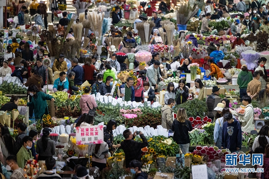 昆明鬥南：一年賣出110億枝鮮花 “亞洲花都”花開正艷