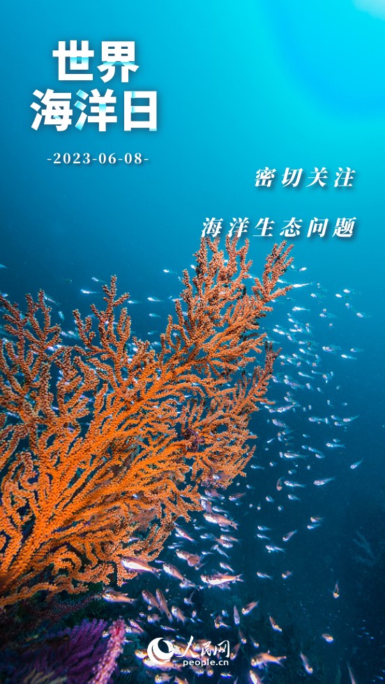 世界海洋日｜保護海洋 我們能做些什麼？