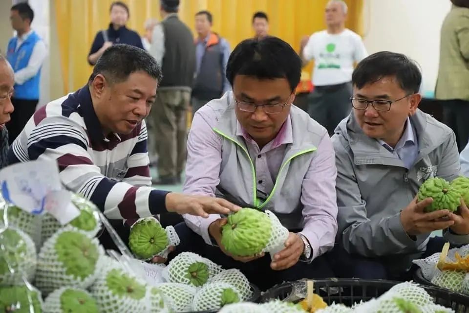 台灣鳳梨釋迦價格暴跌，農民嘆賺不回工錢，藍營喊重啟大陸市場