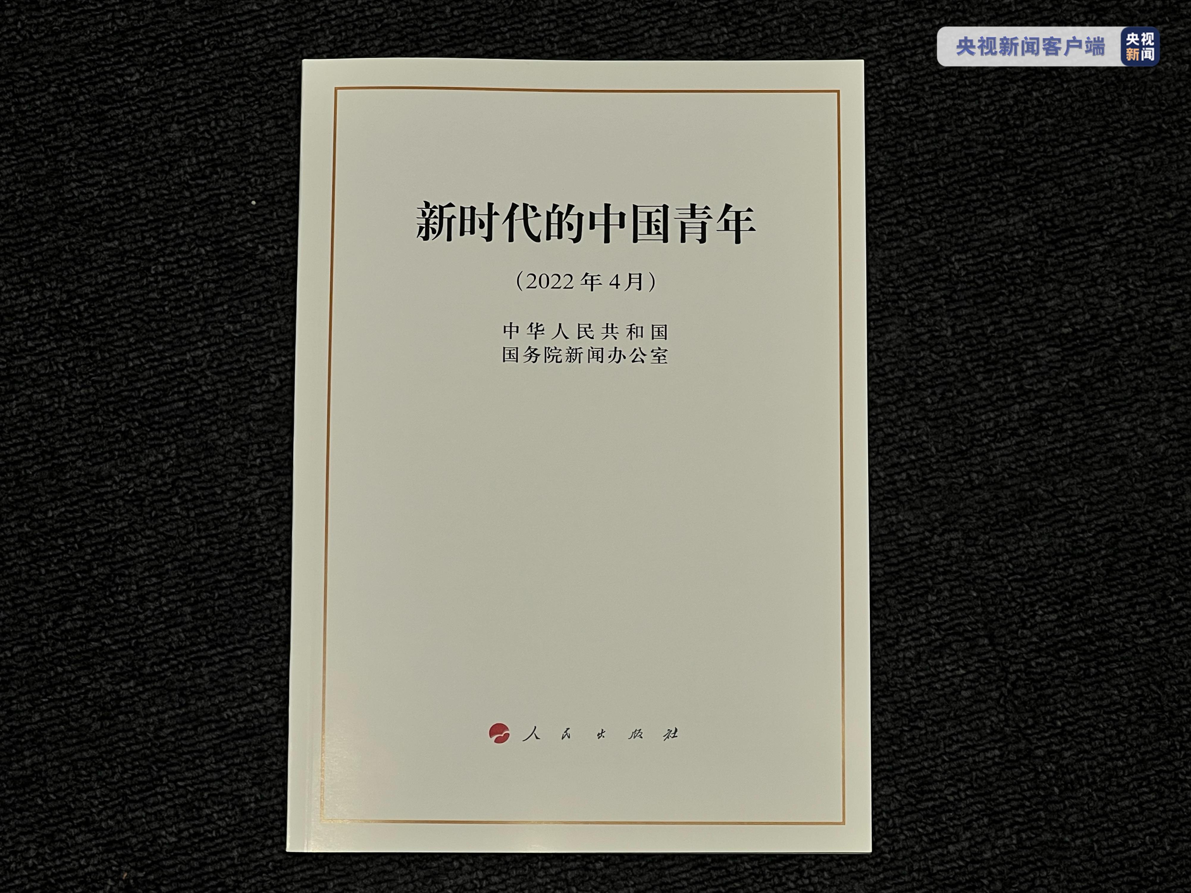 新中國歷史上第一部關於青年的白皮書《新時代的中國青年》發佈