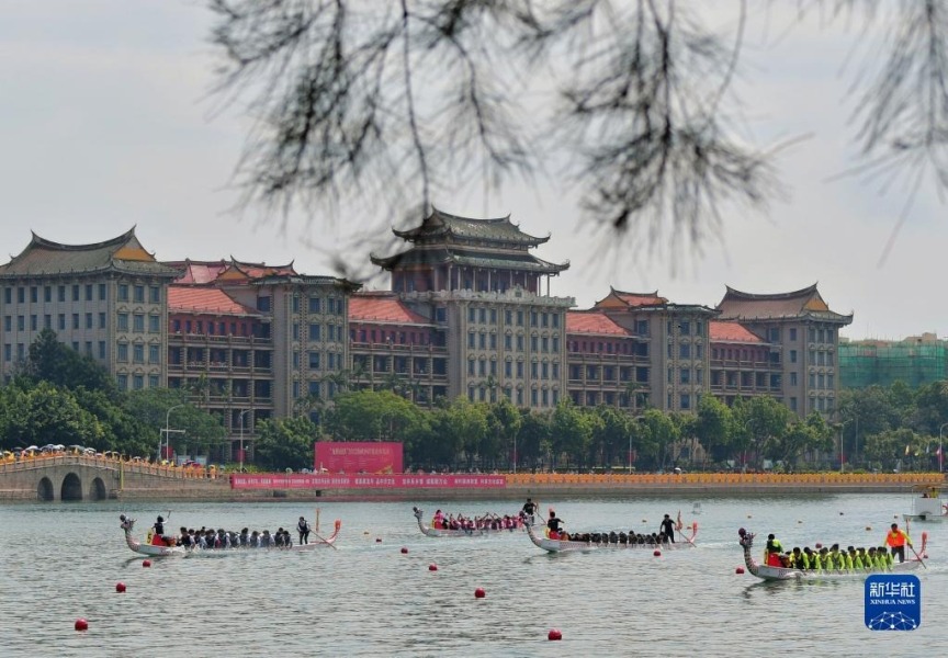 6月3日，在“龍騰虎躍”2022海峽兩岸龍舟賽決賽現場，選手們奮力划槳。新華社記者 魏培全 攝