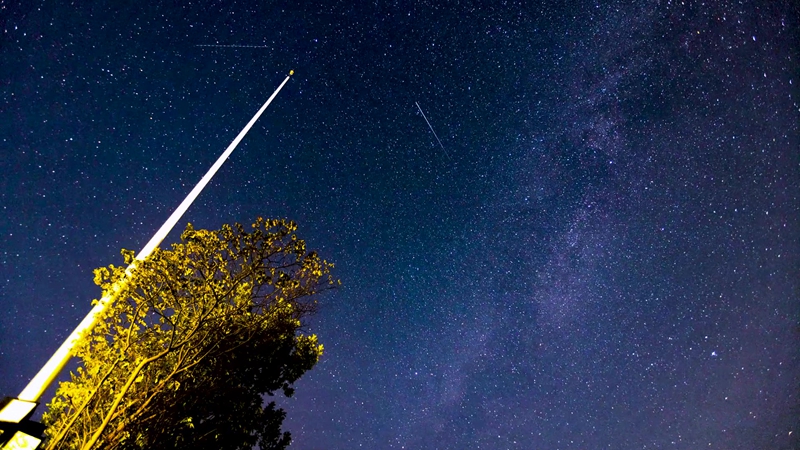 星空璀璨 閃耀竹海夜空