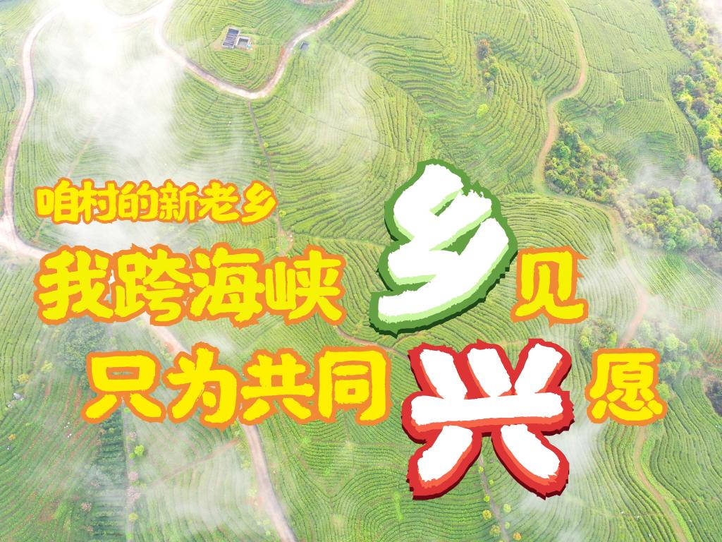 咱村的新老鄉：我跨海峽“鄉”見，只為共同“興”願