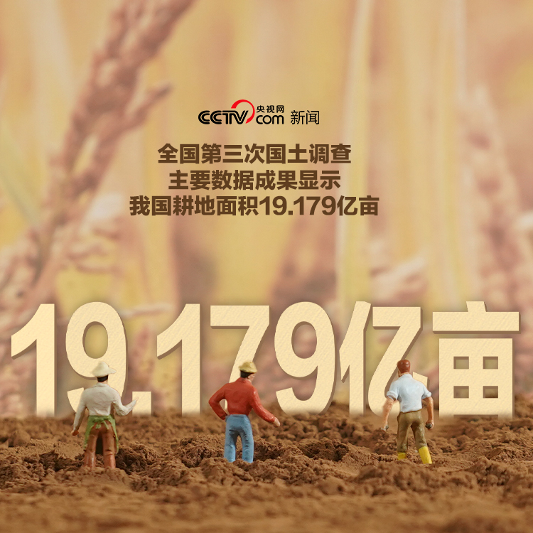 創意海報 | 自豪！中國産糧能力有多強