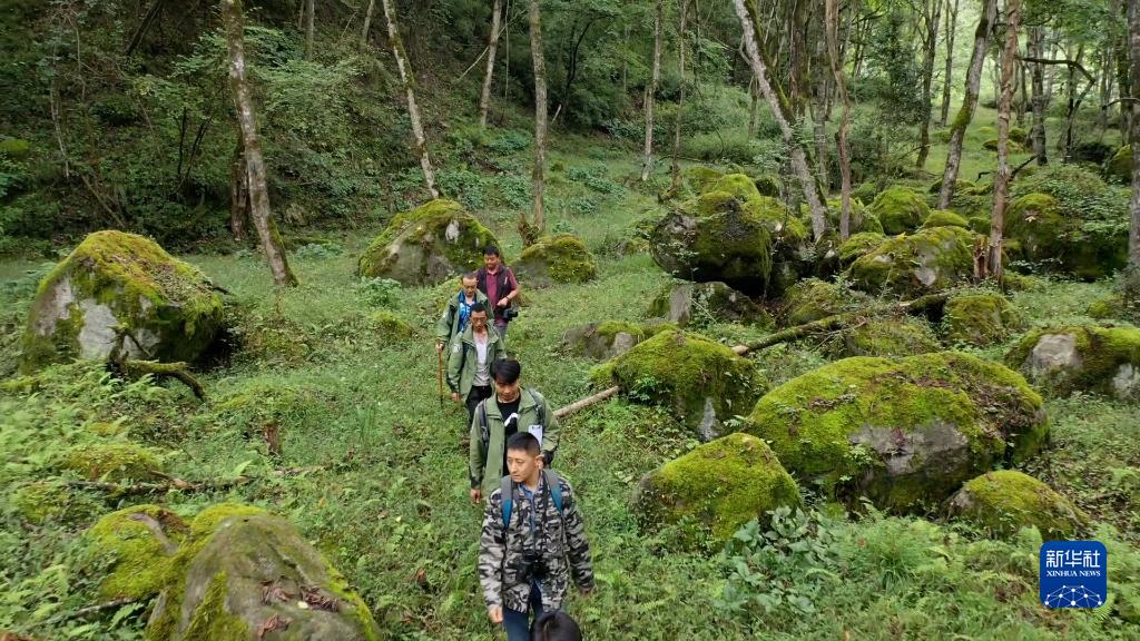 探秘大熊貓國家公園——共建人與自然和諧共生的樂園