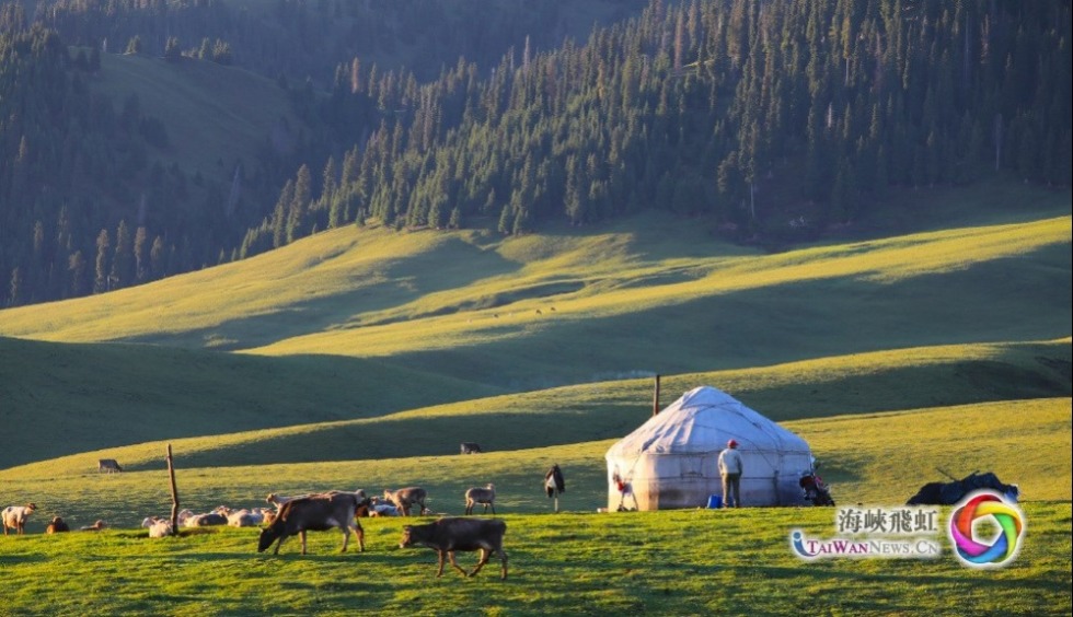 草原上的蒙古包（供圖：陳榮江）