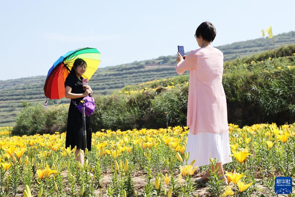 大河上下滿目新——貫徹落實黨的二十大精神加強黃河流域生態保護觀察