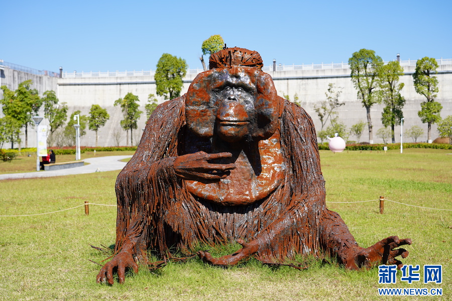 江西浮梁：奇妙“動物園” 在鄉野間擁抱藝術