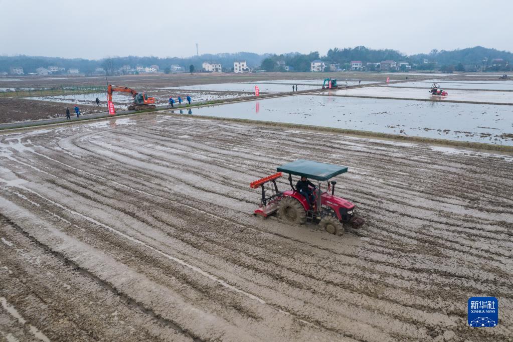 牢牢把住糧食安全主動權——以習近平同志為核心的黨中央帶領人民幹好這件頭等大事