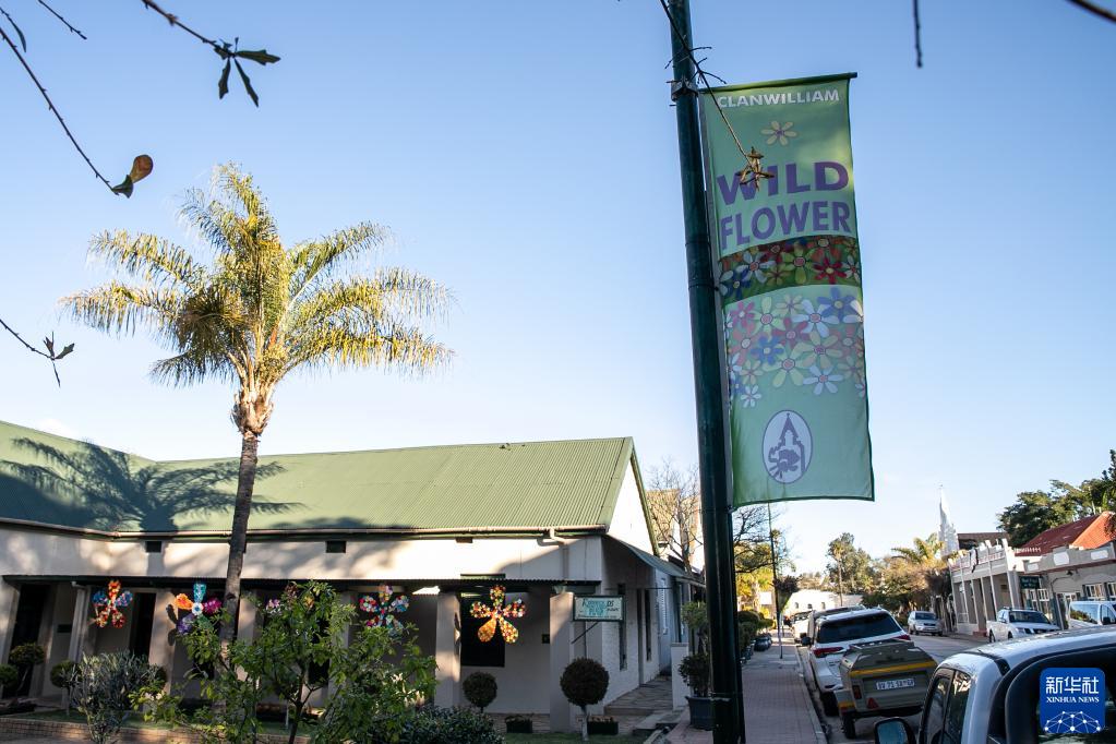 花季旅遊為疫情下的南非旅遊業添暖意