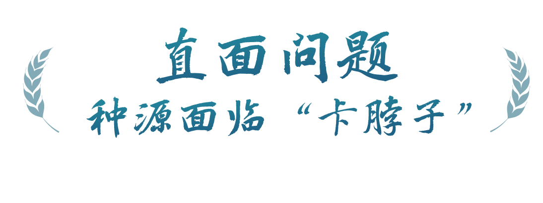 春事看農桑丨播下好種子，豐收有底氣