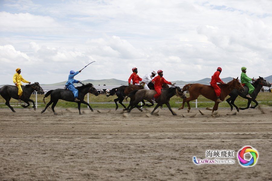 兩岸媒體人走進甘南體驗賽馬活動