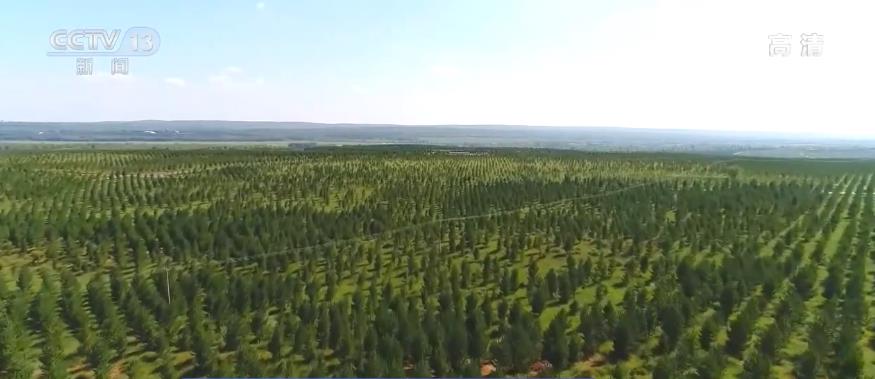 中國防沙治沙取得成效 天然林保護建設近6200萬畝 沙區生態狀況穩中向好