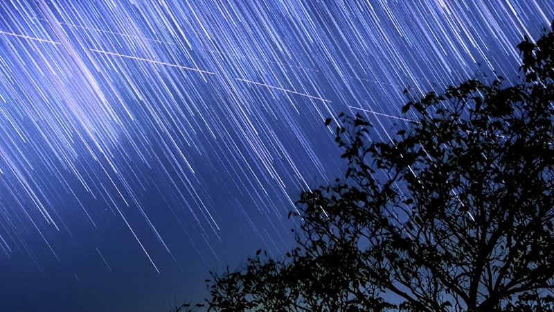 星空璀璨 閃耀竹海夜空