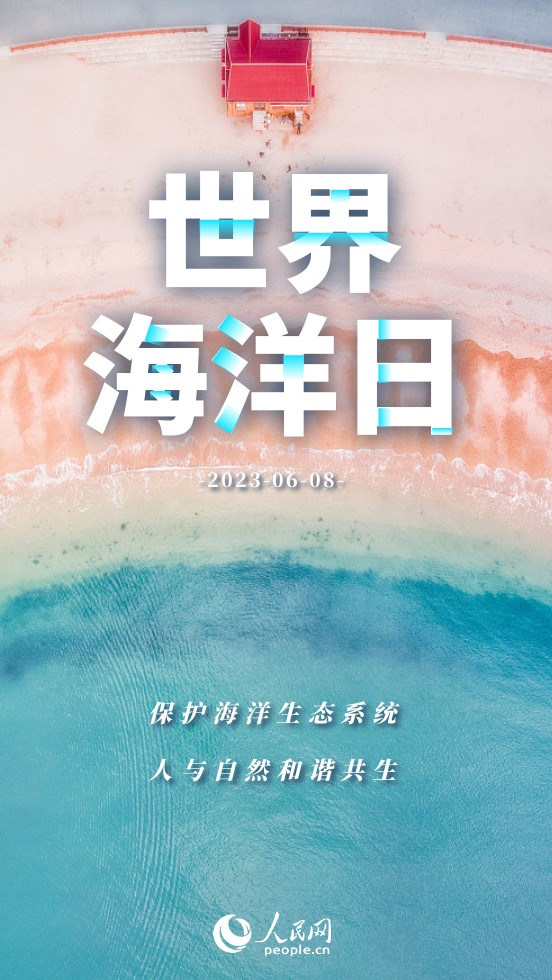 世界海洋日｜保護海洋 我們能做些什麼？