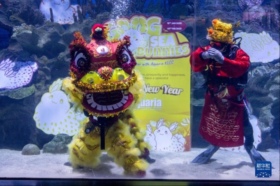 1月18日，潛水員在馬來西亞吉隆坡城中城水族館進行水中舞獅和“財神”拜年表演。新華社記者 朱煒 攝