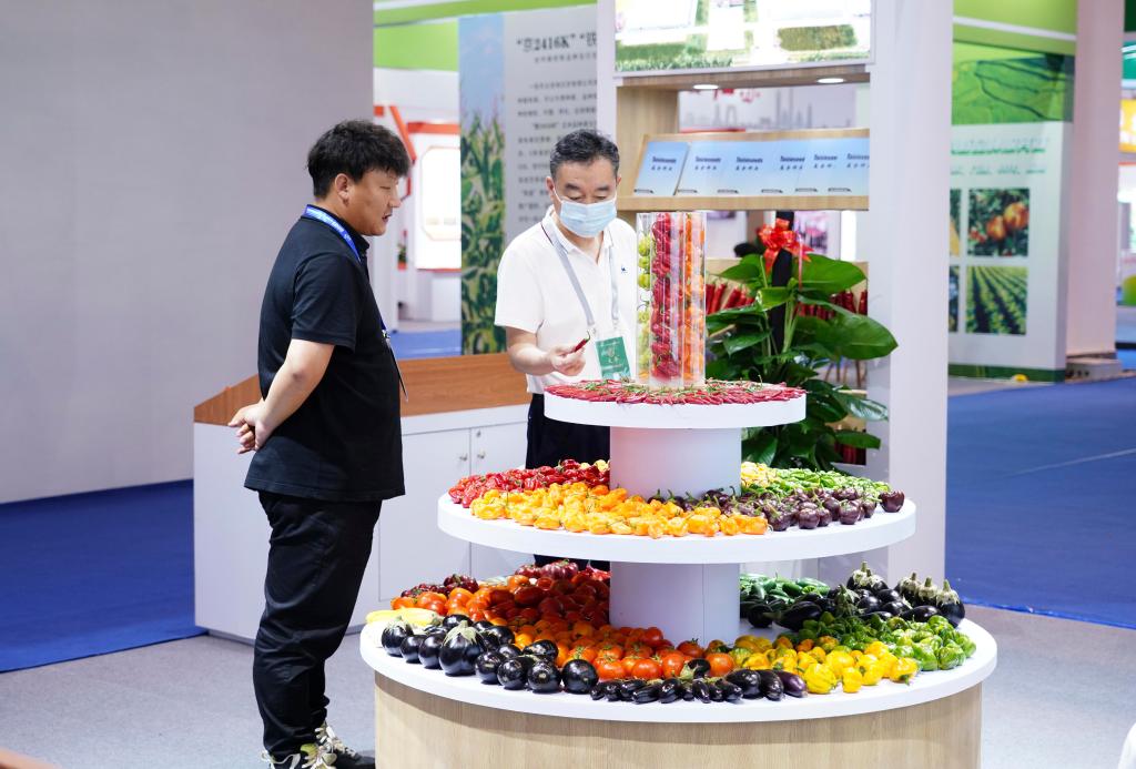 從2023中國種子大會透視種業振興新進展