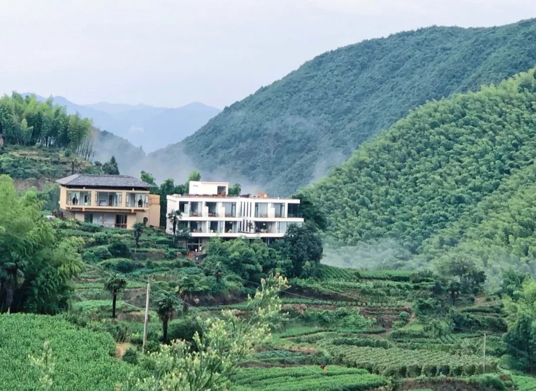 打卡浙西南小城，帶你過一個治愈係夏天