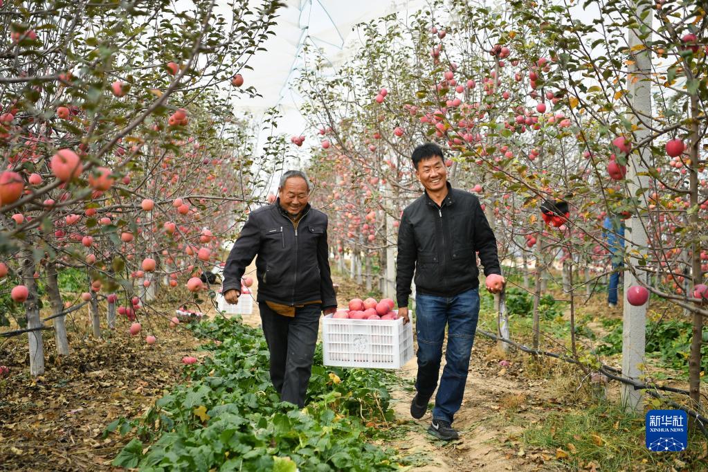 堅定不移走好高品質發展之路——以習近平同志為核心的黨中央引領中國經濟行穩致遠述評