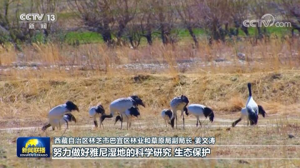 【沿著總書記的足跡】奮力譜寫雪域高原發展新篇章