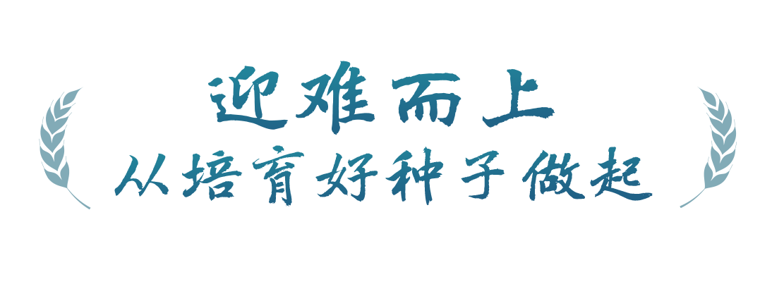 春事看農桑丨播下好種子，豐收有底氣