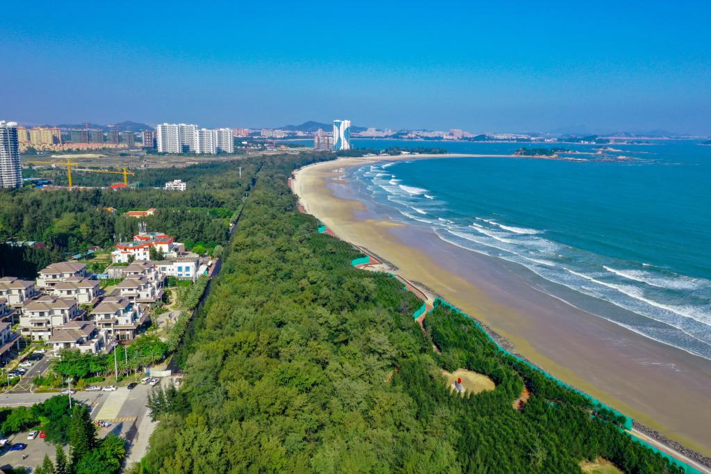 福建東山：一粒沙裏的海島産業變遷