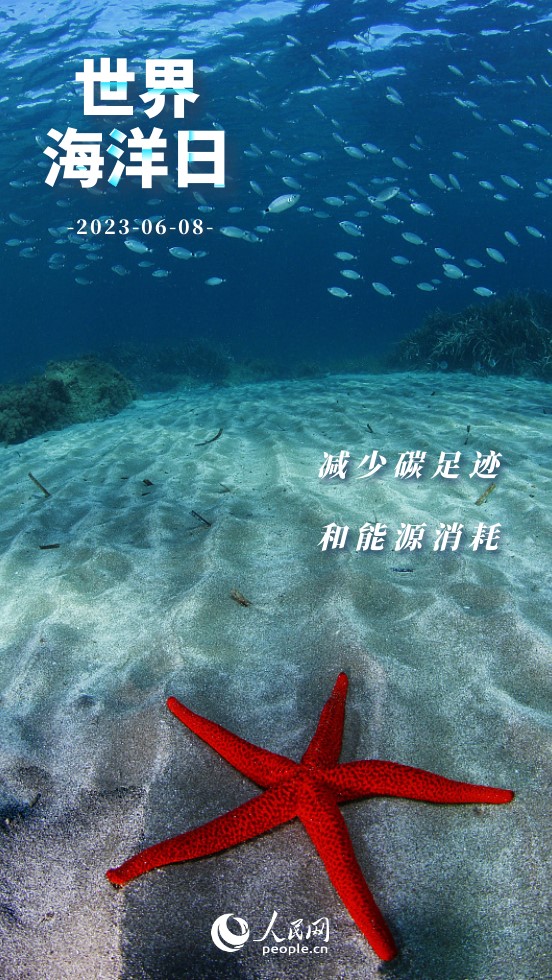 世界海洋日｜保護海洋 我們能做些什麼？