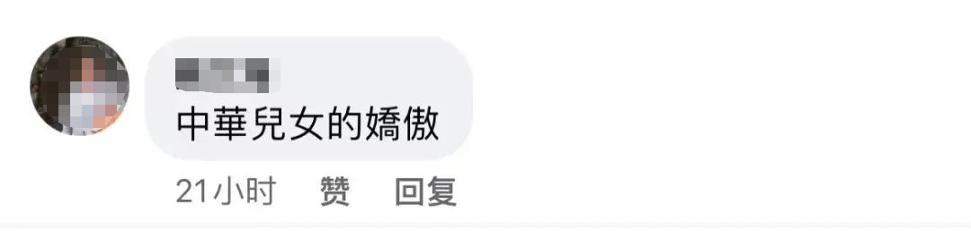 中華兒女的驕傲！“歡迎回來 台灣收到！”