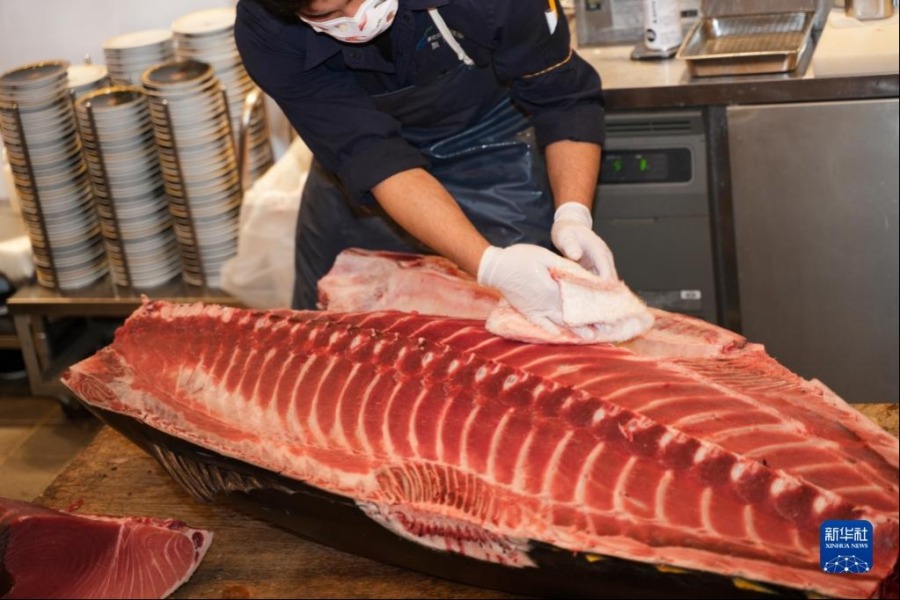 1月5日，廚師在日本東京表參道一家餐館擦拭最高價金槍魚的魚肉。新華社記者 張笑宇 攝