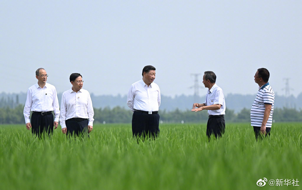 習近平在四川眉山市考察調研