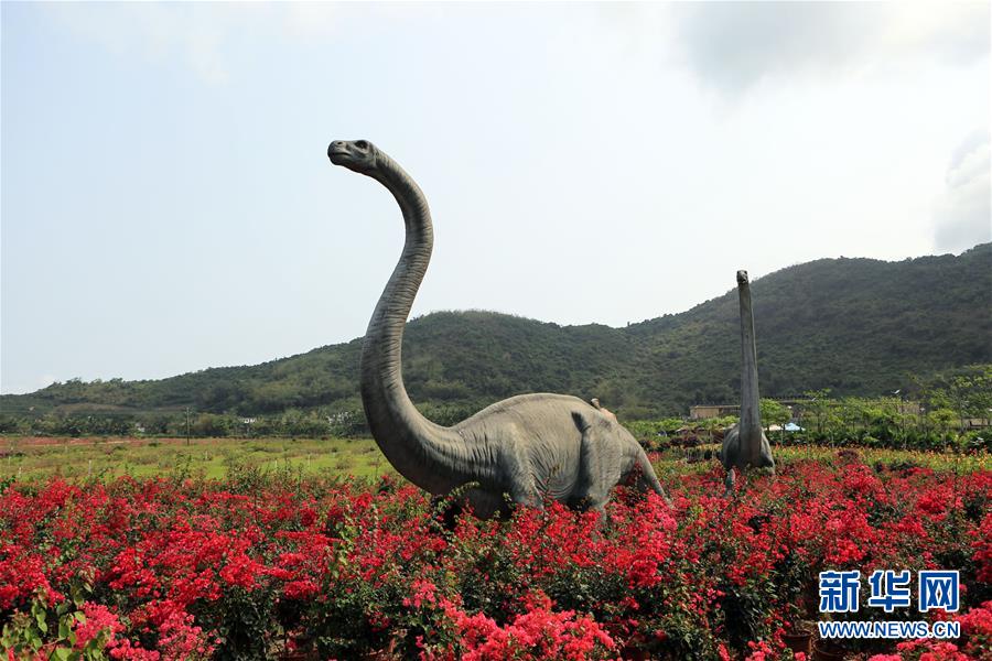 海南：發展全域旅遊 打造海島度假勝地