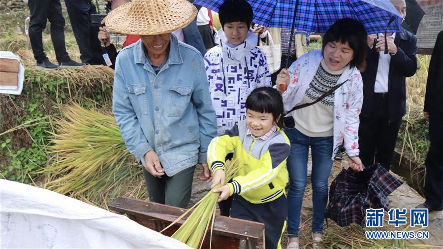 雲上豐收節：兩岸共敘老區村“浪漫”振興路