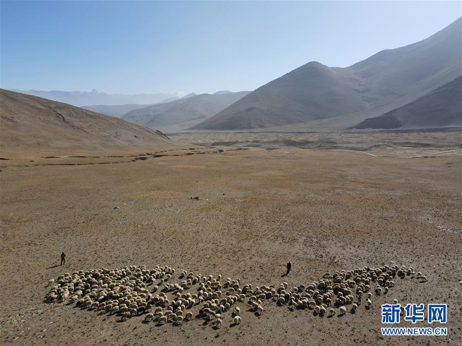 珠峰腳下宗措村：“向陽而生”的新過法