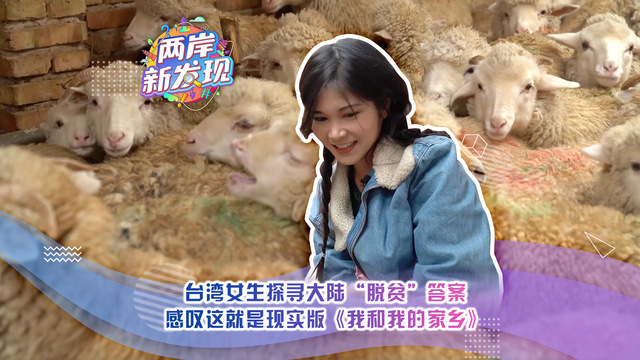 【兩岸新發現】台灣女生探尋大陸“脫貧”答案  感嘆這就是現實版《我和我的家鄉》