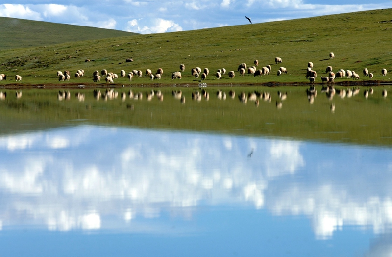 今日西藏：保護生態環境 建設美麗西藏