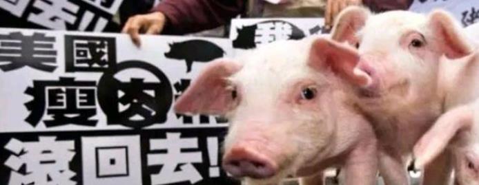 “豬事”不利！美國人不想吃的，都甩給了台灣
