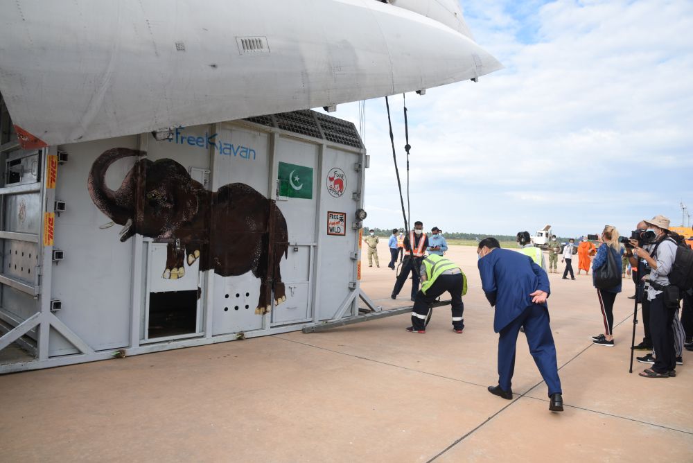 “世界上最孤獨的大象”搬家了！