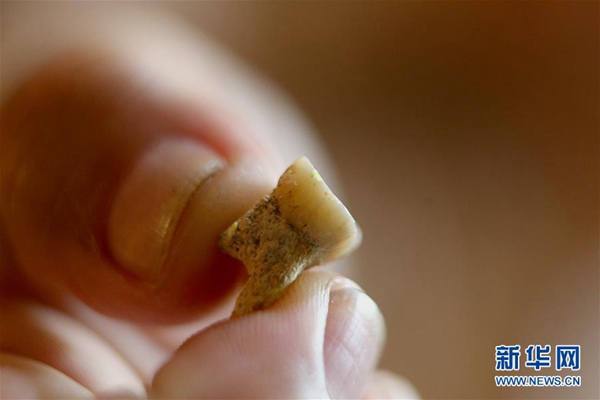 國際科研團隊在菲律賓發現新的古人類物種