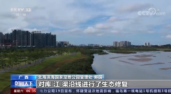 自然資源部：中國初步形成生態修復新格局