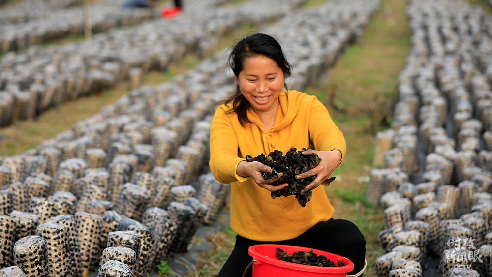時政新聞眼丨 32次參加地方代表團審議,彰顯這5個關鍵詞 時政新聞眼丨 32次參加地方代表團審議,彰顯這5個關鍵詞