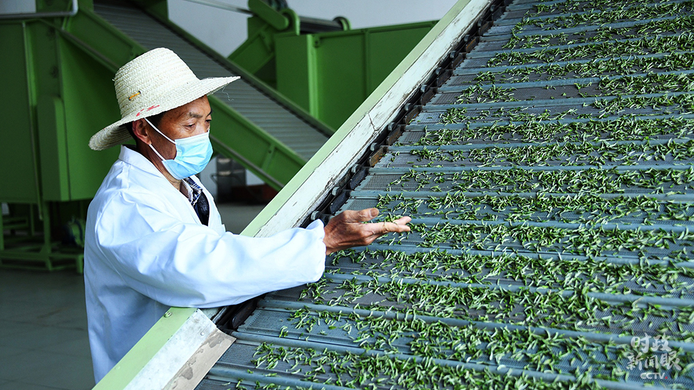 時政新聞眼丨 32次參加地方代表團審議,彰顯這5個關鍵詞 時政新聞眼丨 32次參加地方代表團審議,彰顯這5個關鍵詞