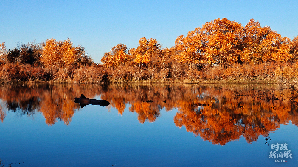 時政新聞眼丨 32次參加地方代表團審議,彰顯這5個關鍵詞 時政新聞眼丨 32次參加地方代表團審議,彰顯這5個關鍵詞