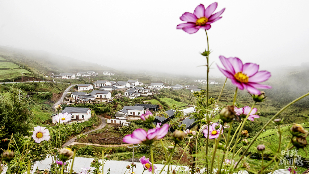 時政新聞眼丨 32次參加地方代表團審議,彰顯這5個關鍵詞 時政新聞眼丨 32次參加地方代表團審議,彰顯這5個關鍵詞