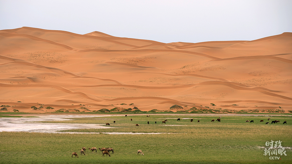 時政新聞眼丨 32次參加地方代表團審議,彰顯這5個關鍵詞 時政新聞眼丨 32次參加地方代表團審議,彰顯這5個關鍵詞