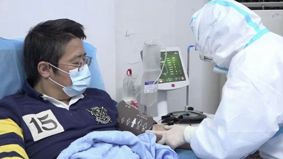 盡己所能回報社會！江漢區新冠肺炎康復臺胞攜家屬捐獻血漿
